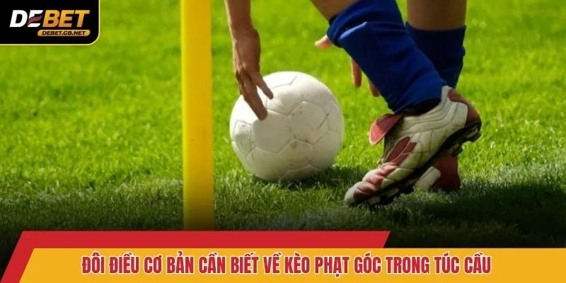 Đôi điều cơ bản cần biết về kèo phạt góc trong túc cầu